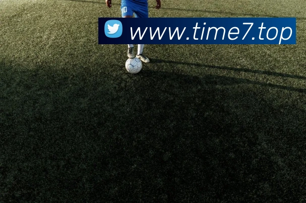 巅峰国际app官网下载平台生态图